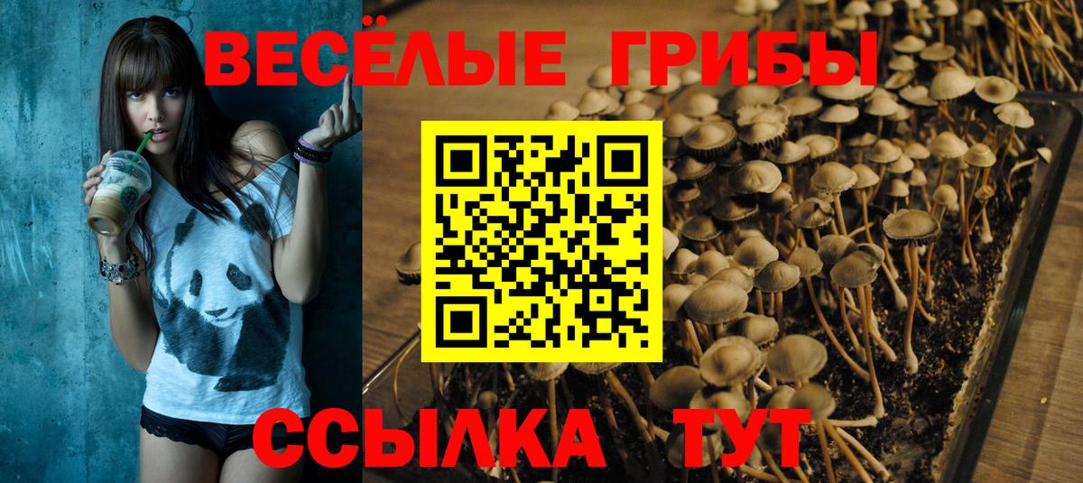 Видное  Галлюциногенные грибы Magic Shrooms  Галлюциногенные грибы мухоморы  Вход с VPN 