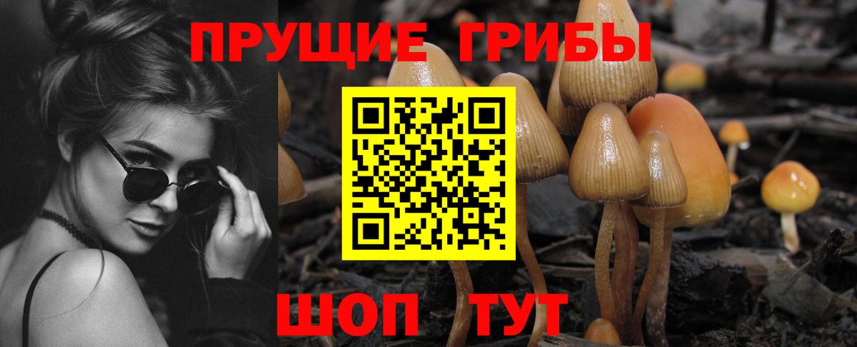 Галлюциногенные грибы мицелий Видное